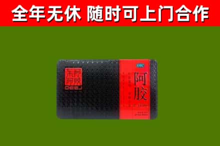 尼玛县回收阿胶