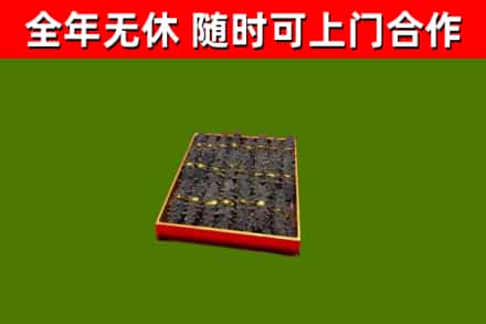 尼玛县回收海参